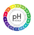 ph meter for measuring acid alkaline balance vector image