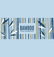 bamboo background banner vector image