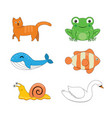 cat frog whale fish snail and swan vector image