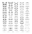 collection of vintage dividers vector image