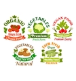 organic vegan food emblems vegetarian vegetables vector image