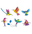 different hummingbirds vector image vector image