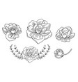 line art set peonies flowers vector image vector image