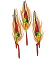 claws scratches vector image