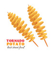 spiral tornado potato vector image