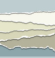 torn paper set vector image