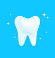 cartoon healthy bright shining tooth concept vector image vector image