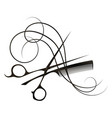 curls hair scissors and stylist comb vector image