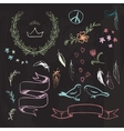 hand drawn spring graphic set on blackboard vector image vector image