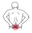 low back pain bone and muscle backache vector image vector image