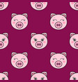 seamless pattern with the cute pink pigs vector image vector image