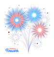 holiday firework independence day of america vector image