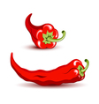 pepper vector image