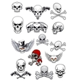 skull characters with crossbones vector image