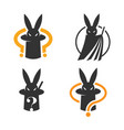 set mysterious magic rabbit logo or icon vector image