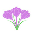 Saffron Royalty Free Vector Image - VectorStock