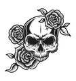 vintage human skull tattoo concept vector image vector image