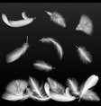 realistic white bird twirled feathers vector image vector image