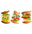 sandwiches with bread cheese lettuce ham vector image vector image