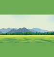 green glade vector image