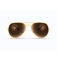 pilot sunglasses vector image