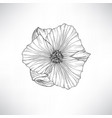 flower isolated floral engraving set vector image