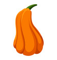 orange pumpkin holiday squash clipart gourd vector image