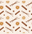 spice pattern cinnamon vanilla and dried orange vector image