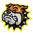 angry bulldog head mascot logo design vector image
