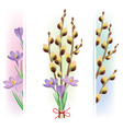 easter symbols crocuses and pussy willow vector image vector image
