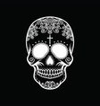 white skull on a black background vector image