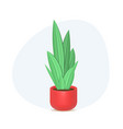 green plants in pot isolated on white background vector image