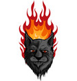 lion flame trail design vector image