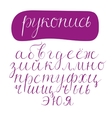script cyrillic font vector image vector image