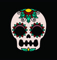 color patterns on a white skull vector image