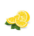 realistic lemon on a white background vector image