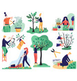 gardening and cutting tree branches cartoon vector image