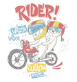 cute bear and his brother on motorcycle t-shirt vector image