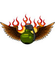 hand grenade flames vector image