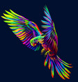 portrait a parrot in flight abstract vector image vector image