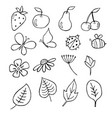 garden summer black and white set vector image