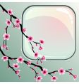 pink blossoms vector image vector image