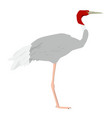 sarus crane - side view - flat vector image vector image