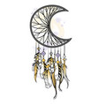 with hand drawn dream catcher vector image