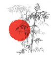 japanese traditional bamboo branches isolated vector image vector image