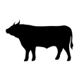 bull abstract vector image