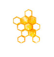 watercolor yellow honeycomb vector image
