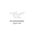 vintage retro hand drawn hummingbird or colibri vector image