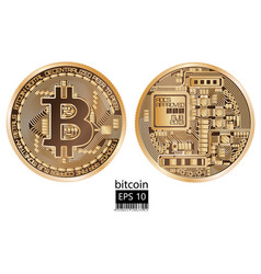 Bitcoin physical bit coin Royalty Free Vector Image