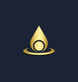 droplet water gold logo vector image vector image